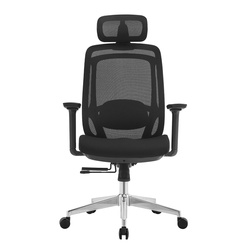 Fotel biurowy ergonomiczny Roseville 2.0